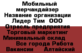 Мобильный мерчандайзер › Название организации ­ Лидер Тим, ООО › Отрасль предприятия ­ Торговый маркетинг › Минимальный оклад ­ 23 000 - Все города Работа » Вакансии   . Алтайский край